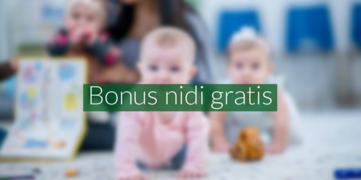 Misura Nidi Gratis Plus 2024/2025 adesione delle famiglie